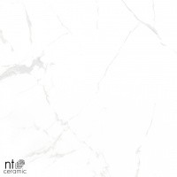 Керамогранит Callacata carving цвет керамогранитной плитки Белый