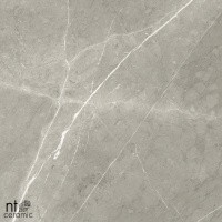 Керамогранит NTT9102 цвет керамогранитной плитки Серый