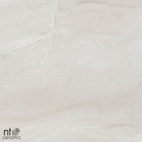 Керамогранит NTT9702 цвет керамогранитной плитки Бежевый