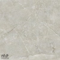 Керамогранит NTT9022 цвет керамогранитной плитки Серый