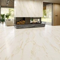 Керамогранит Arabesco Gold цвет керамогранитной плитки Белый