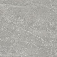 Керамогранит NTT9024 цвет керамогранитной плитки Серый
