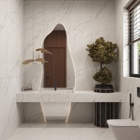 Керамогранит INFINITY WISDOM STONE цвет керамогранитной плитки Белый