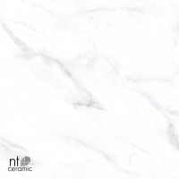 Керамогранит Statuario Endless цвет керамогранитной плитки Серый