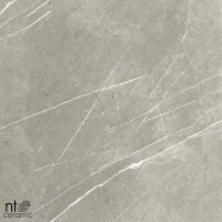 Керамогранит NTT9102 цвет керамогранитной плитки Серый