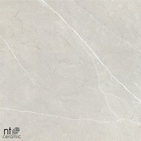 Керамогранит NTT9101 цвет керамогранитной плитки Бежевый
