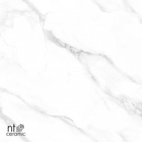 Керамогранит Statuario Endless цвет керамогранитной плитки Серый