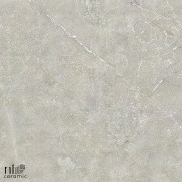 Керамогранит NTT9022 цвет керамогранитной плитки Серый