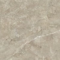 Керамогранит NTT9021 цвет керамогранитной плитки Коричневый