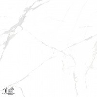 Керамогранит Callacata carving цвет керамогранитной плитки Белый