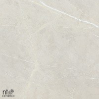 Керамогранит NTT9101 цвет керамогранитной плитки Бежевый