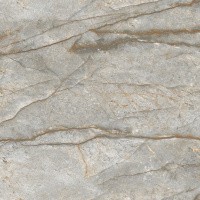 Керамогранит Forest Carving цвет керамогранитной плитки Серый