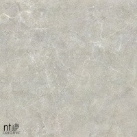 Керамогранит NTT9022 цвет керамогранитной плитки Серый