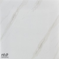 Керамогранит NTT9401 цвет керамогранитной плитки Бежевый