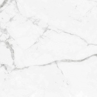 Керамогранит NTT9100 цвет керамогранитной плитки Белый