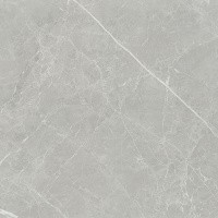 Керамогранит NTT1101 цвет керамогранитной плитки Серый