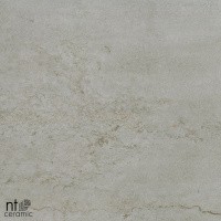 Керамогранит NTT9001 цвет керамогранитной плитки Серый