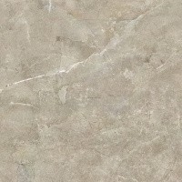 Керамогранит NTT9021 цвет керамогранитной плитки Коричневый