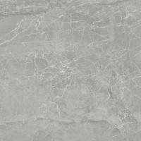 Керамогранит NTT9024 цвет керамогранитной плитки Серый