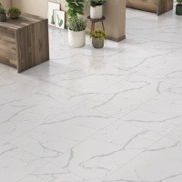 Керамогранит Statuario Ultra White цвет керамогранитной плитки Ультрабелый