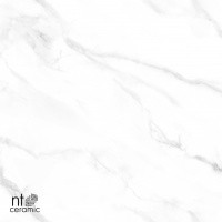 Керамогранит Statuario Endless цвет керамогранитной плитки Серый