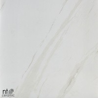 Керамогранит NTT9401 цвет керамогранитной плитки Бежевый