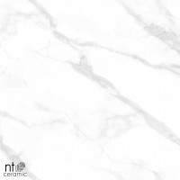 Керамогранит Statuario Endless Mat цвет керамогранитной плитки Серый