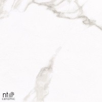 Керамогранит NTT1001 цвет керамогранитной плитки Белый