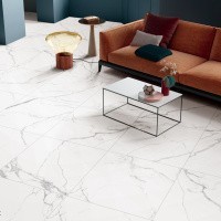 Керамогранит NTT9122M Barbara White mat цвет керамогранитной плитки Белый