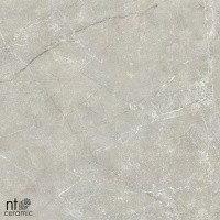 Керамогранит NTT9022 цвет керамогранитной плитки Серый