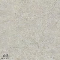 Керамогранит NTT9022 цвет керамогранитной плитки Серый