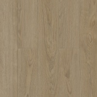 LT12709N