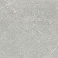 Керамогранит NTT1101 цвет керамогранитной плитки Серый