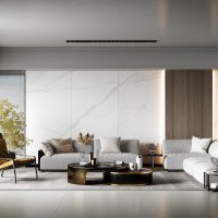 Керамогранит Statuario mat цвет керамогранитной плитки Серый