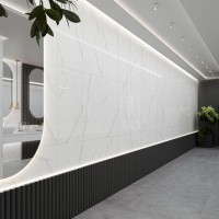 Керамогранит NTT9106 Statuario цвет керамогранитной плитки Белый