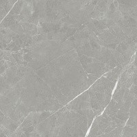 Керамогранит NTT1102 цвет керамогранитной плитки Серый