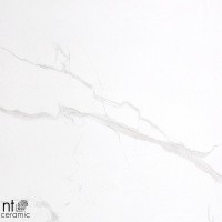 Керамогранит NTT9402 цвет керамогранитной плитки Белый