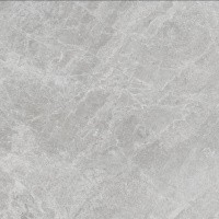 Керамогранит NTT9118 Tundra Pearl mat цвет керамогранитной плитки Серый