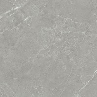 Керамогранит NTT1102 цвет керамогранитной плитки Серый