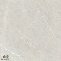 Керамогранит NTT9101 цвет керамогранитной плитки Бежевый
