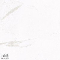 Керамогранит NTT1001 цвет керамогранитной плитки Белый