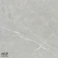 Керамогранит NTT1101 цвет керамогранитной плитки Серый