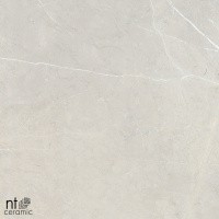 Керамогранит NTT9101 цвет керамогранитной плитки Бежевый
