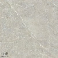 Керамогранит NTT9022 цвет керамогранитной плитки Серый