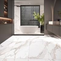 Керамогранит NTT9120M Calacatta Light Grey mat цвет керамогранитной плитки Белый