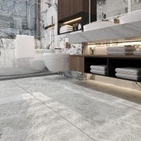 Керамогранит NTT9118 Tundra Pearl mat цвет керамогранитной плитки Серый