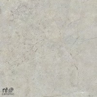 Керамогранит NTT9022 цвет керамогранитной плитки Серый