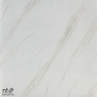 Керамогранит NTT9401 цвет керамогранитной плитки Бежевый