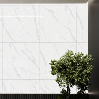 Керамогранит NTT9106 Statuario цвет керамогранитной плитки Белый