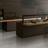 Керамогранит NTT9024 цвет керамогранитной плитки Серый